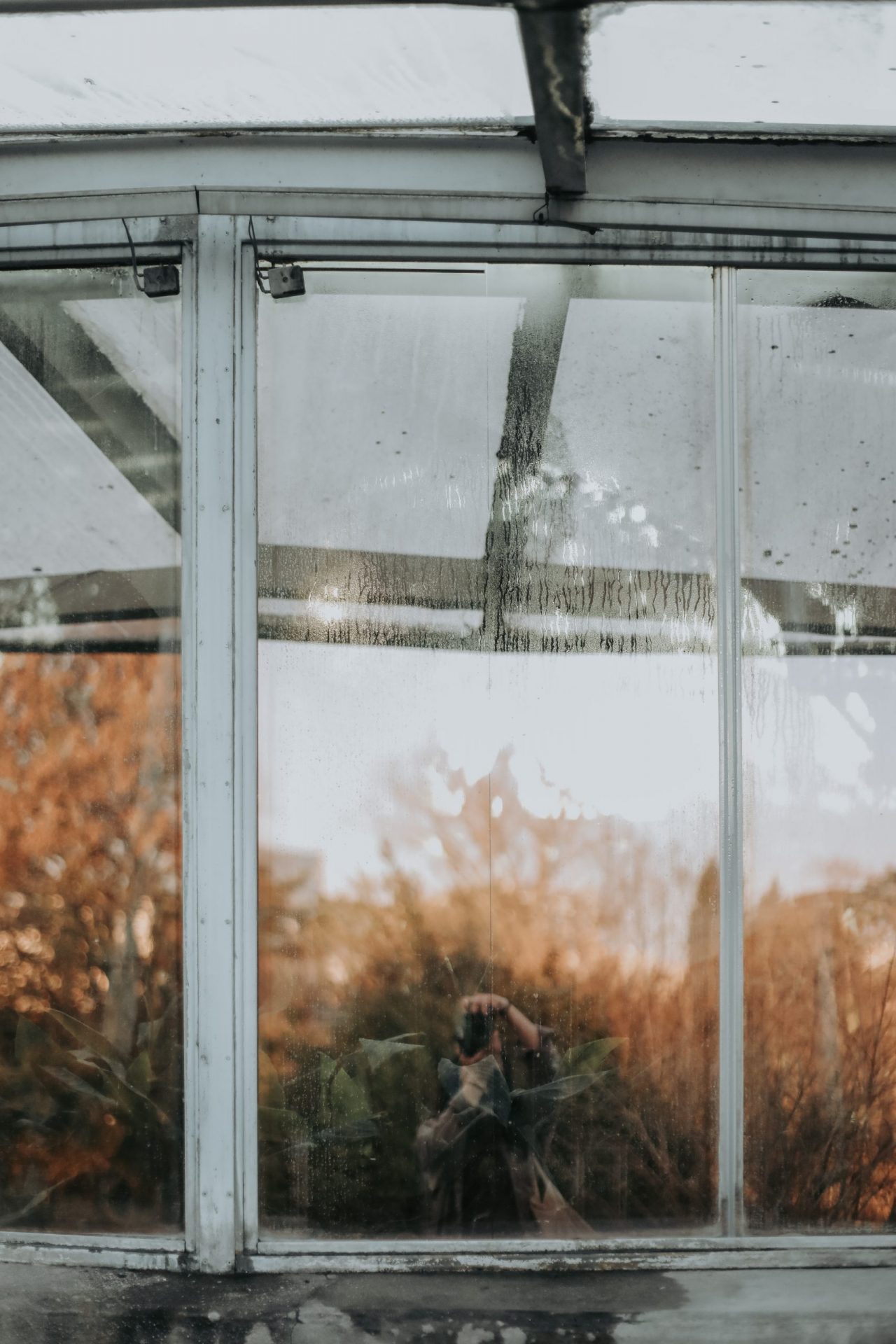 52687856827_4803ce8b08_o